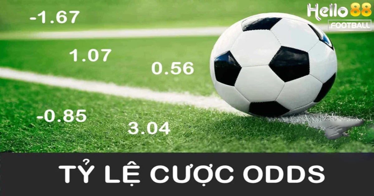 Cách đặt cược odds bóng đá