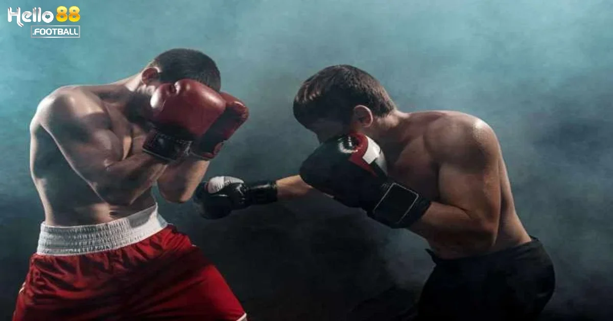 Lưu Ý Khi Đặt Cược Boxing Để Đạt Kết Quả Cao