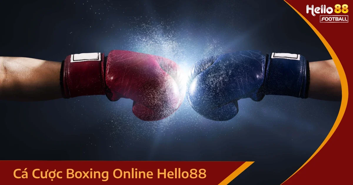 Mẹo Cá Cược Boxing Online Cho Người Mới